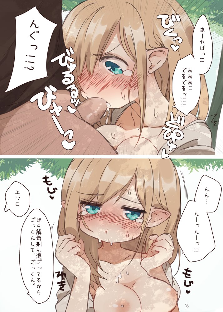 エルフの住む森。シリーズ 総集編【いーすとはうす】 エロ同人誌画像 017