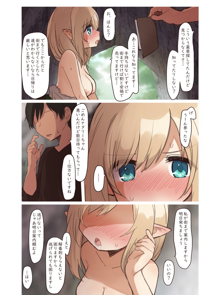 エルフの住む森。シリーズ 総集編【いーすとはうす】 エロ同人誌画像 028